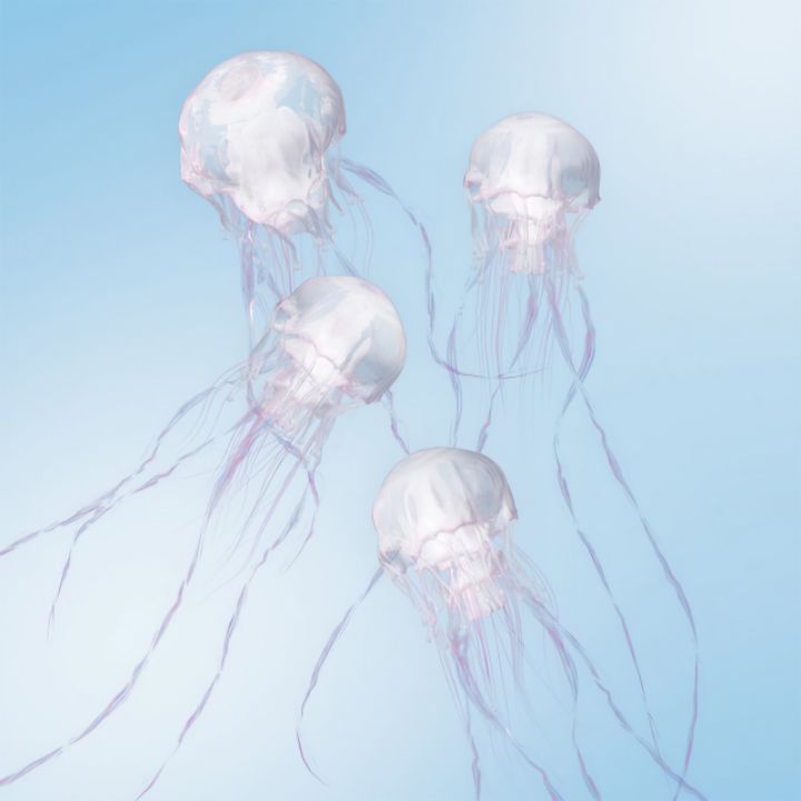 goodnovel comment avatar